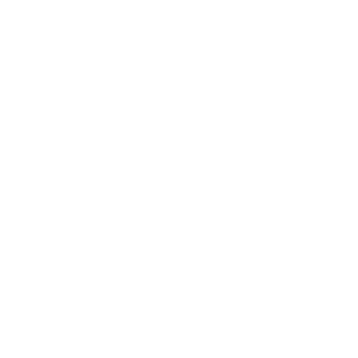 Custom icon