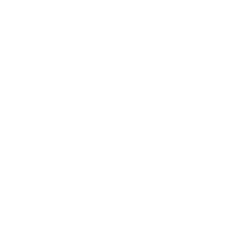 Custom icon