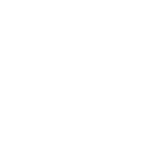 Custom icon